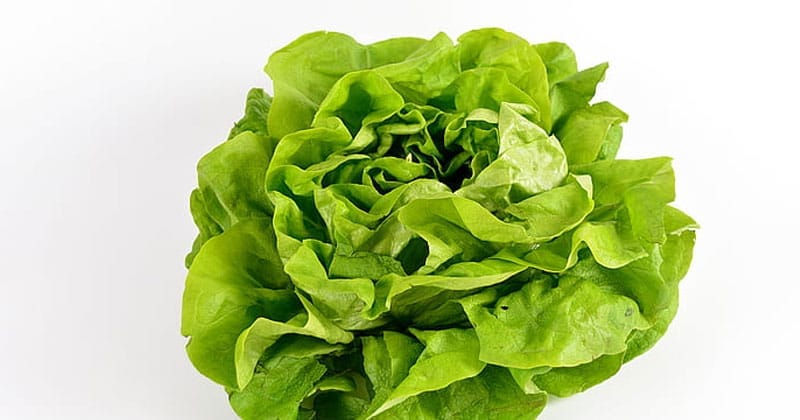 Growing your own survival garden - 7 Easiest vegetables to grow