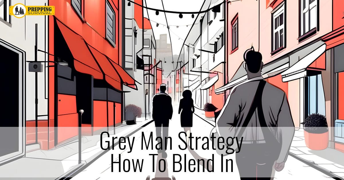 Prepping: Grey Man Strategy – Blend In and Become Invisible