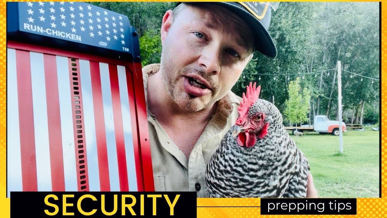 Prepping – How To Keep Your Chickens SAFE | Protect Your Preps | Prepping Tip