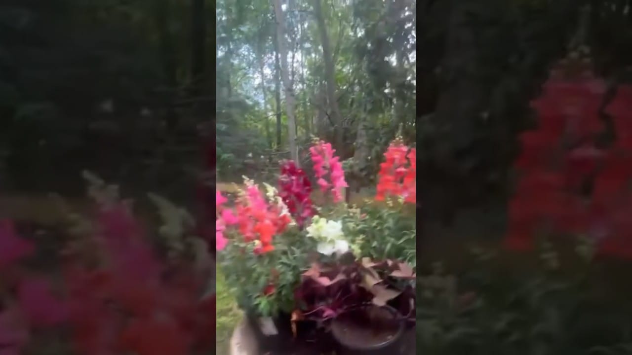 Prepping A House For Selling! Tips From A REALTOR!