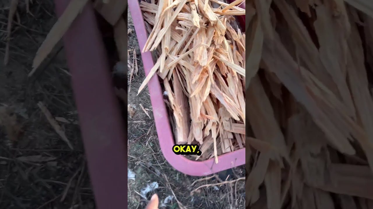 Prepping Tips #homestead #farmstead #autumngarden #nature #winter #prepper