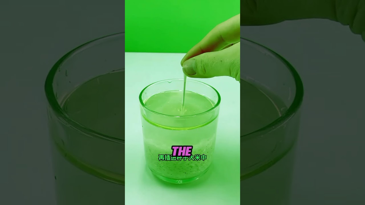 “DIY Emergency Light Using Rice & Oil – No Power? No Problem!”