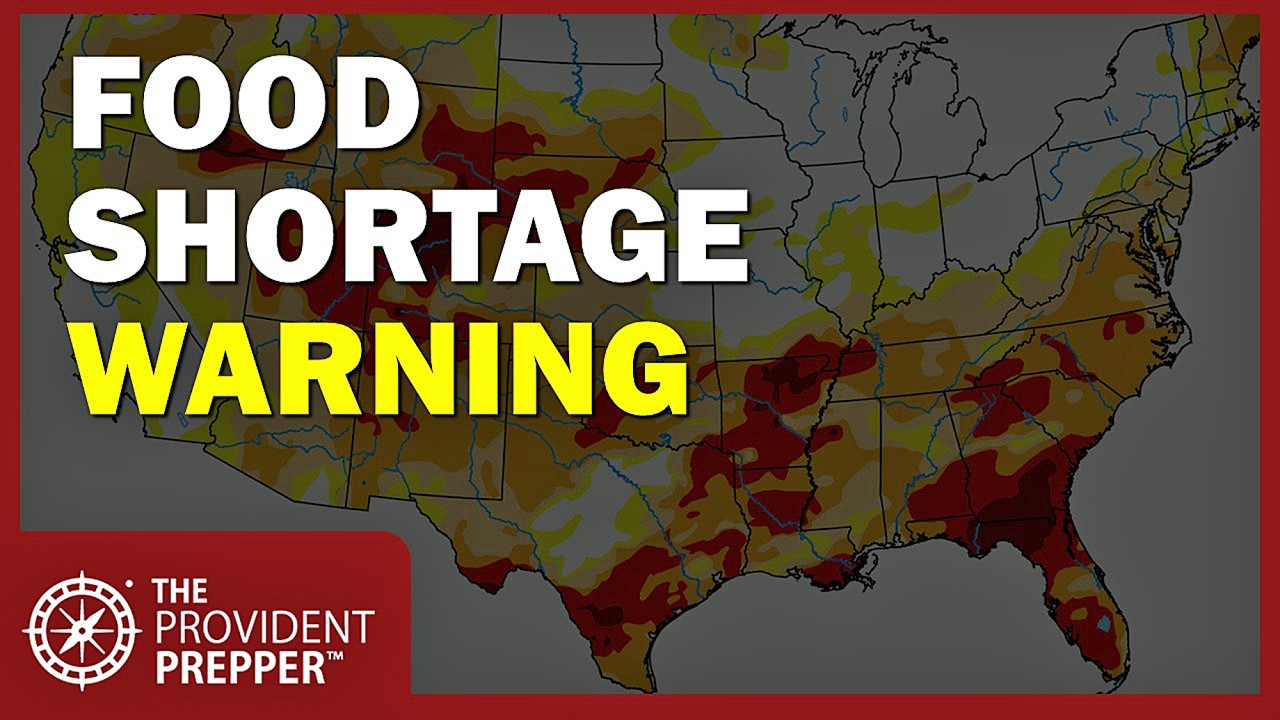 2026 Food Shortage Warning: Are You Ready? Here’s Your Action Plan